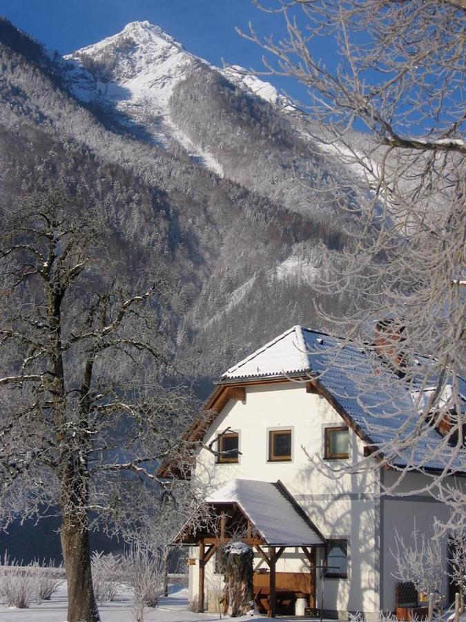 Vila Gausrab Hinterstoder Exteriér fotografie