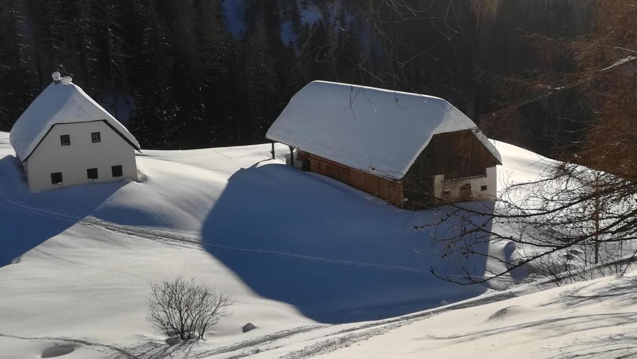 Vila Gausrab Hinterstoder Exteriér fotografie