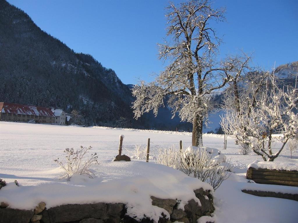 Vila Gausrab Hinterstoder Exteriér fotografie